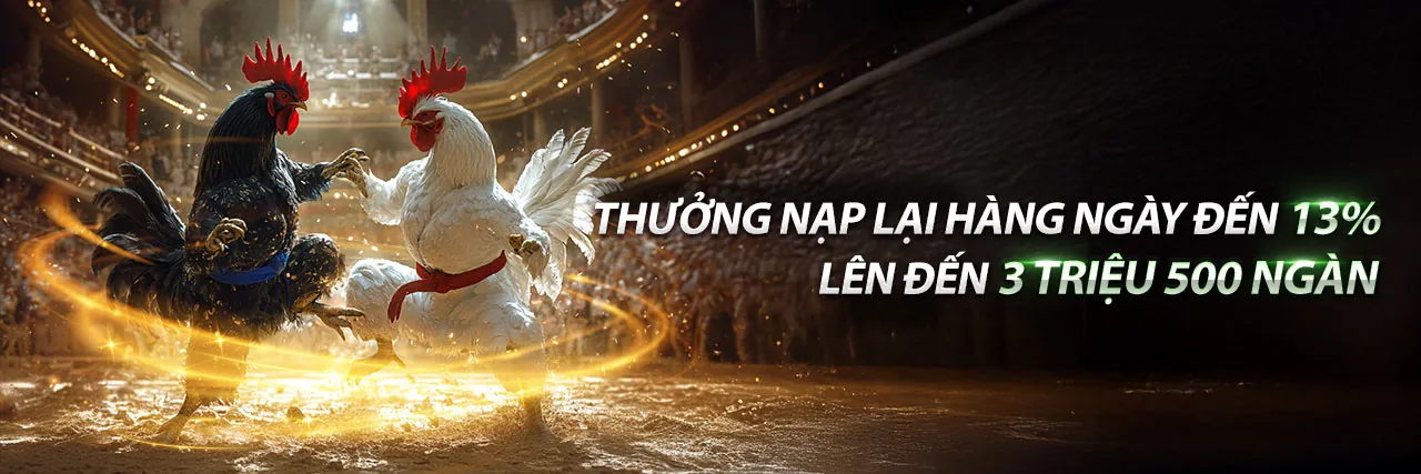Đá Gà Trực Tuyến i9bet141 web 2026